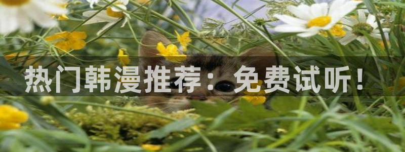 av歪歪漫画：热门韩漫推荐：免费试听！